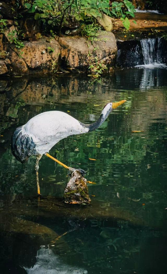 漳州鹅仙洞：山不在高有仙則靈