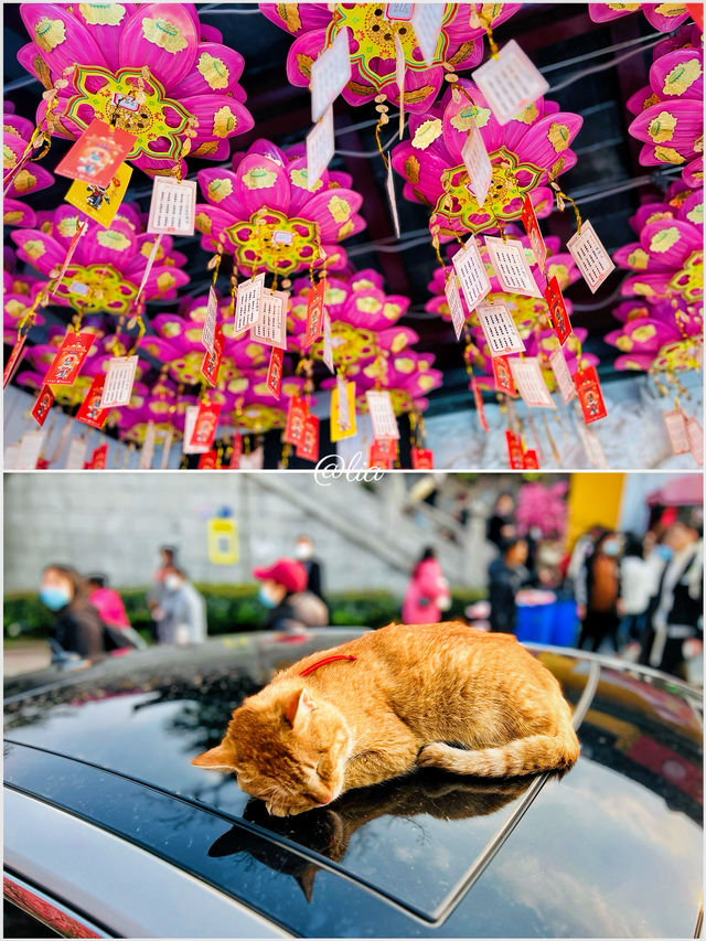 我相冊裏嘅100座城：4.南京