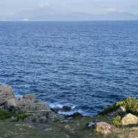 📍【塔門島｜帶定港紙同八達通先！】