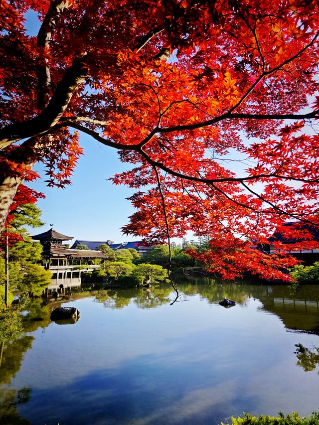 平安神宮｜朱甍碧瓦間的盛唐遺韻與侘寂美學