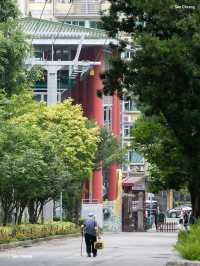 香港出發至澳門二龍喉公園跨境交通攻略 