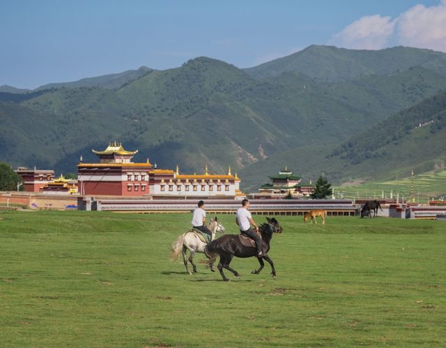 相信我，呢篇係你一定未見過嘅甘南旅遊攻略