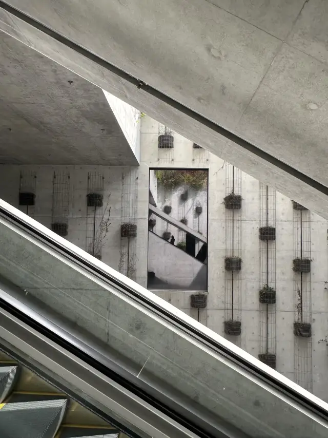 香港轉機必衝！5小時速刷M+博物館攻略🌉