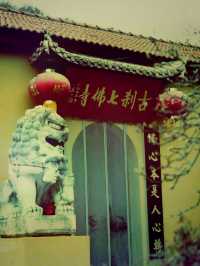 *【端午佳節遇古剎：南京七佛寺禪意體驗】**  