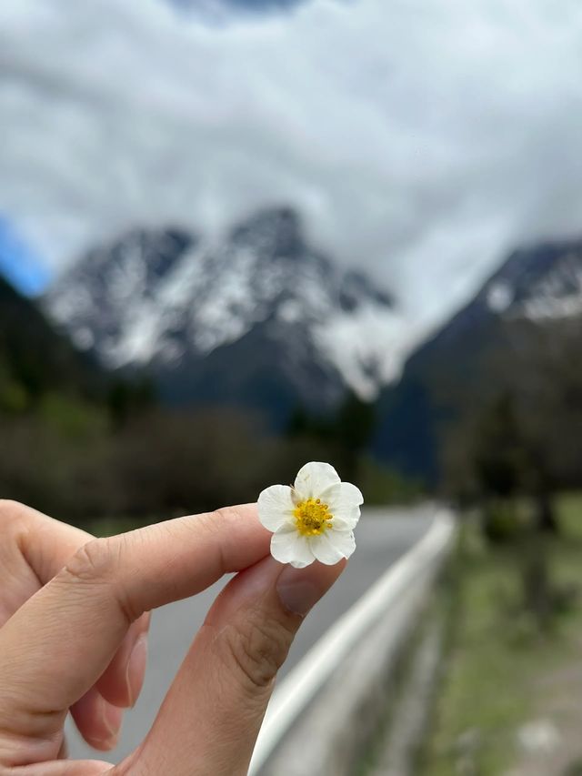 川西旅遊|四姑娘山保姆級穿搭&防高山症攻略