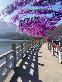河南汝州九峰山景區超全旅遊攻略來啦！