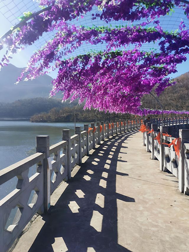 河南汝州九峰山景區超全旅遊攻略來啦！