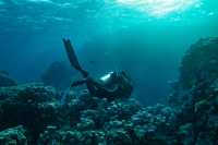 Unlock South Pacific's Mysterious Underwater World