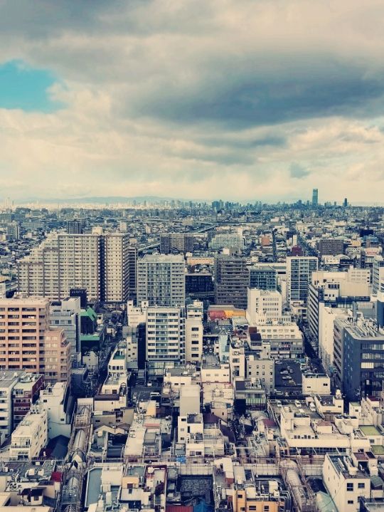 여름 여행의 숨은 보석, 오사카 사카이시에서 만나는 전통과 휴식​