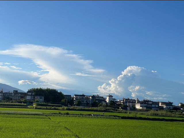 絕美洱海咁玩唔會中伏