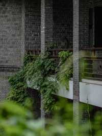重慶 |  謝柯老師嘅「減法美學」 · 住進新華銀行金庫