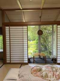 沿著伊豆回到箱根，住了兩日吉池旅館，終於明白為什麼它被說成「箱根必住」——看山看海看錦鯉，泡溫泉飲清酒，時間彷彿都慢了下來🍶