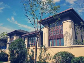 Hidden Paradise in Chongming! Personal Experience at Shupai Garden Villa near Dongping Forest Park