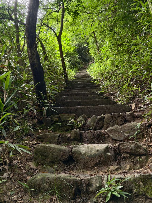 寧波秘境虹嶺古道·綠野仙蹤般的溯溪天堂