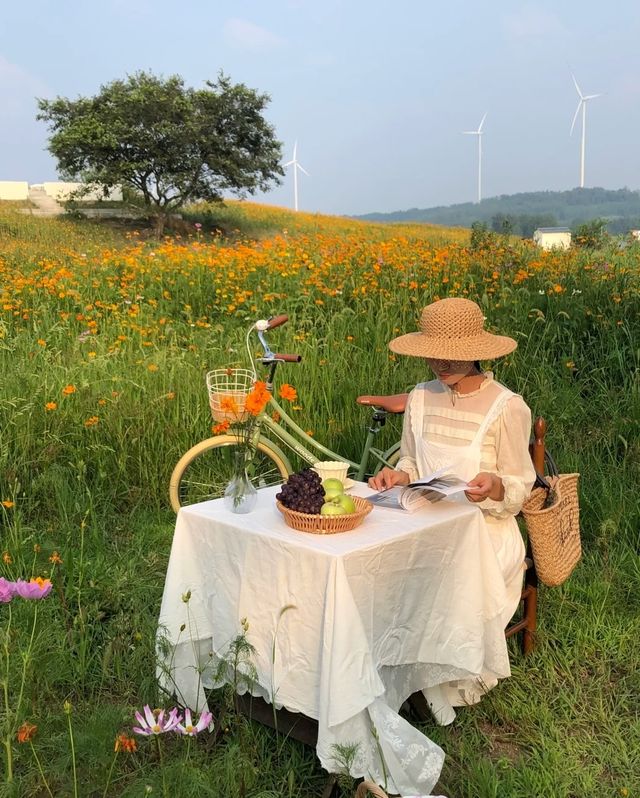 廈門田園風，住呢度太正啦