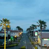 【千葉舘山一日遊！海風與杜鵑花的治愈之旅】