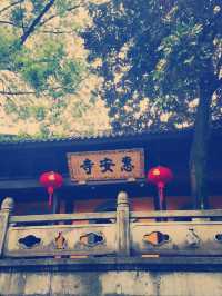 尋味嵊州·千年城隍廟奇遇記】**  