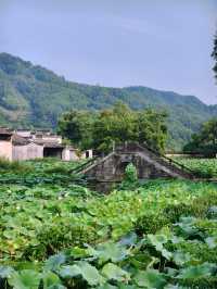 迷失在呈坎：一座按《易經》建造嘅徽州千年八卦村！