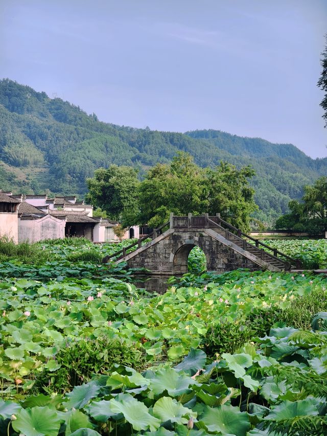 迷失在呈坎：一座按《易經》建造嘅徽州千年八卦村！