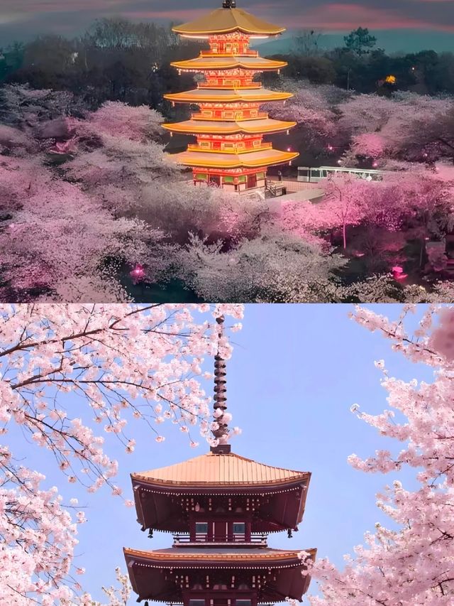 武漢返嚟真係正~~ 武漢返嚟真係正~~