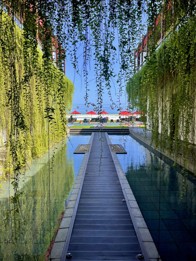 Relaxing Stay at W15✨