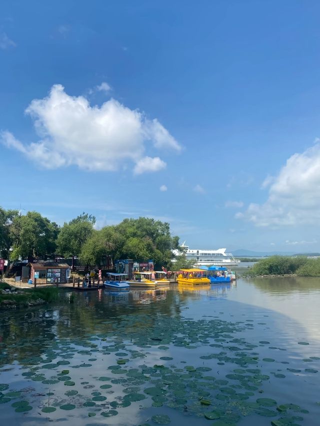 興凱湖：中俄界湖秘境之旅