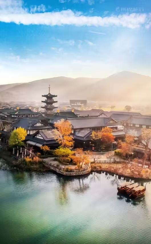 蓮華茶のすくいです 工芸品 美術品 置物 蓮華坐獅香炉 銅器 文房具