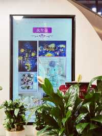 Blooms of Elegance: Royal Garden at CITIC Plaza