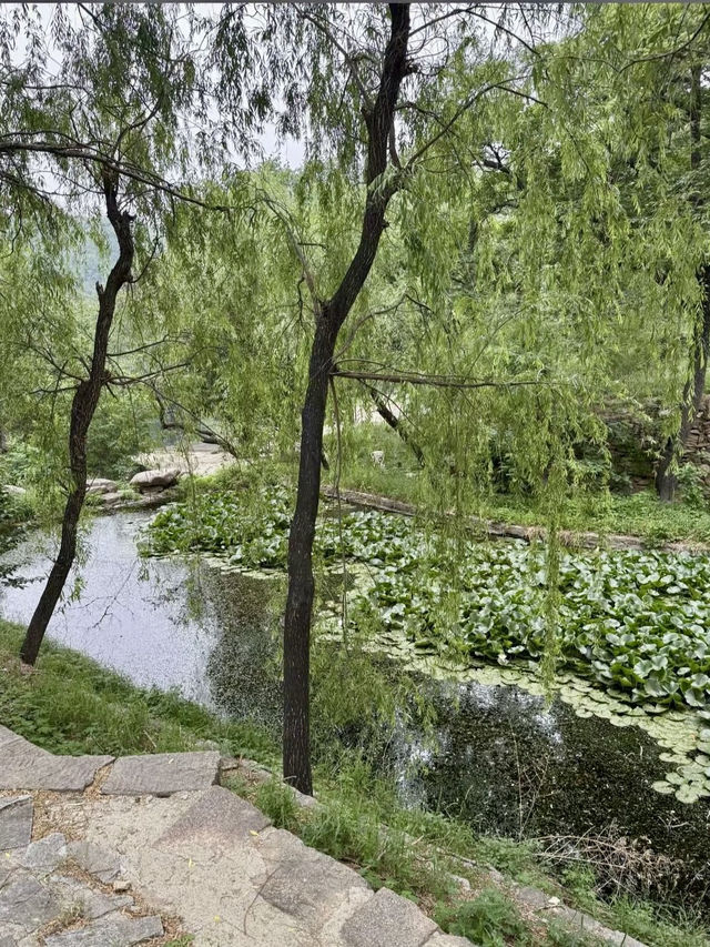 秋意濃——秋山風景區