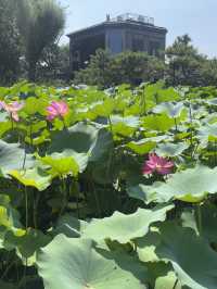 Beijing 10 Days Itinerary