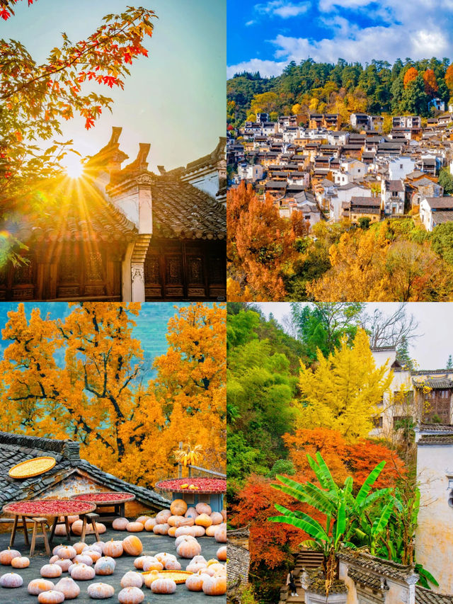 國慶必去《國家地理》認證的皖南賞秋天花板