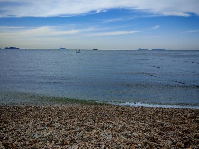 長島遛娃天花板津岸民宿承包整個海島的快樂！