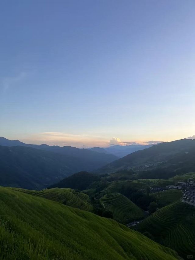龍脊梯田｜10月迎接金色海浪全攻略