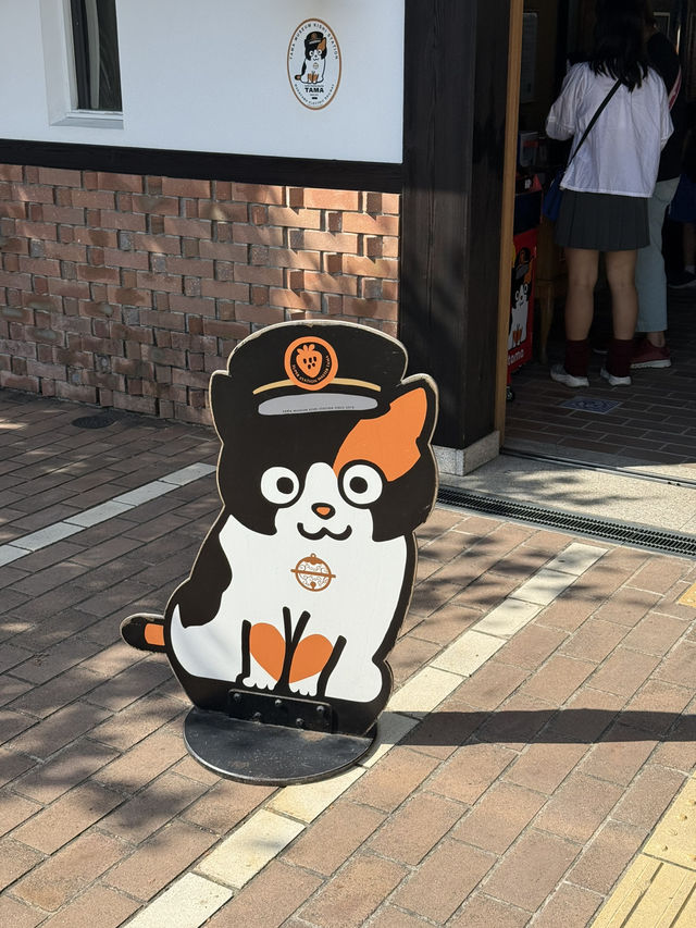 和歌山療癒鐵道+海洋生態行程 和歌山療癒鐵道+海洋生態行程