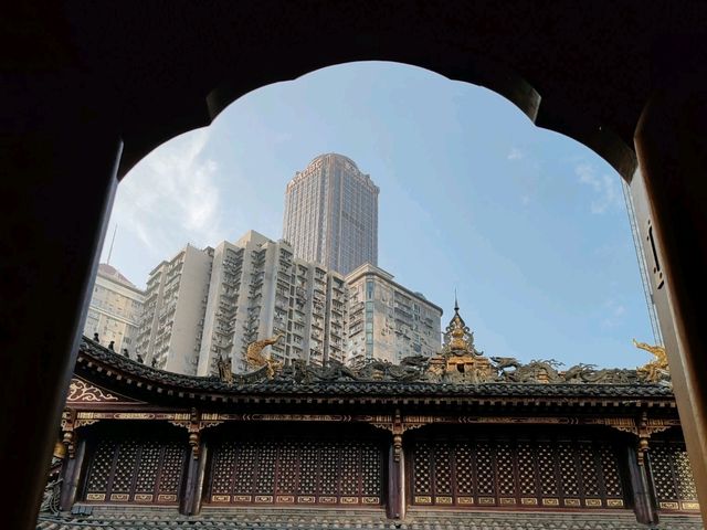 An Island of Tranquility: Luohan Temple