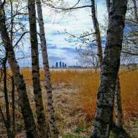 🌲 Helsinki’s Best Nature Spots: Where the City Breathes Green