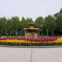 Day Walk in Fuxing Park, Shanghai 🌞