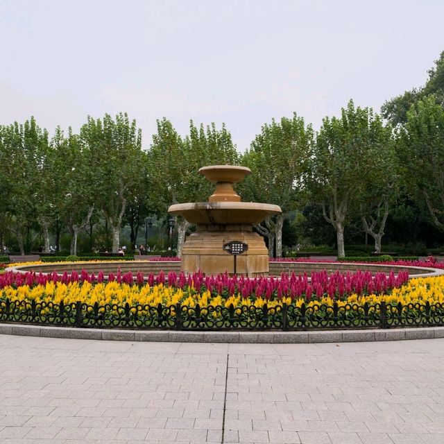 Day Walk in Fuxing Park, Shanghai 🌞