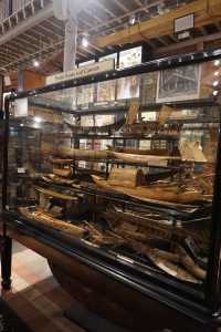 Pitt Rivers Museum: A Unique Oxford Attraction