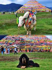 太震撼了今天香格里拉這處秘境，簡直美到封神