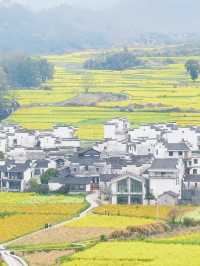 婺源一日｜在春日篁嶺，邂逅一場水墨煙雨的舊夢 
