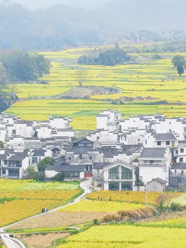 婺源一日｜在春日篁嶺，邂逅一場水墨煙雨的舊夢 