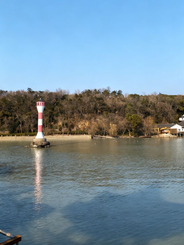太湖追鷗奇遇記！60元船票解鎖「海陸空」三重浪漫！
