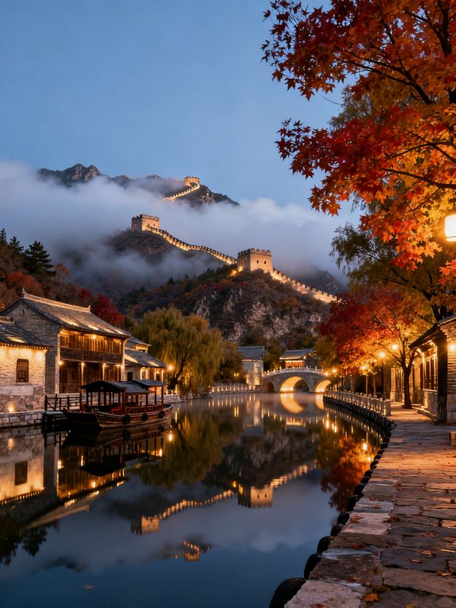 從北疆白樺到江南曬秋，這8處秘境藏著全年最美風景