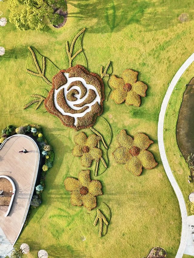 上海植物園 兔子南瓜派對上線 上海植物園 兔子南瓜派對上線