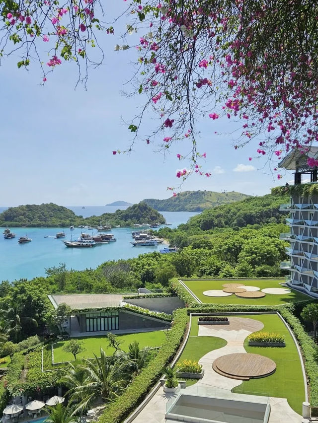 科莫多夢幻海島指南
