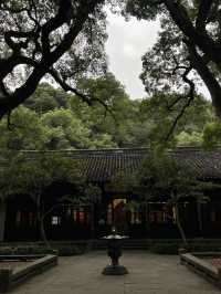 藏在九溪深處的千年禪意：理安寺漫遊記