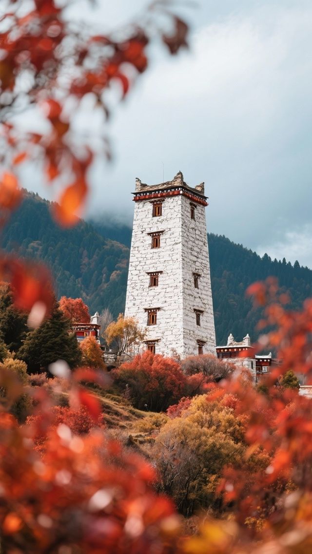 秋季四川黑水縣3天2晚旅遊行