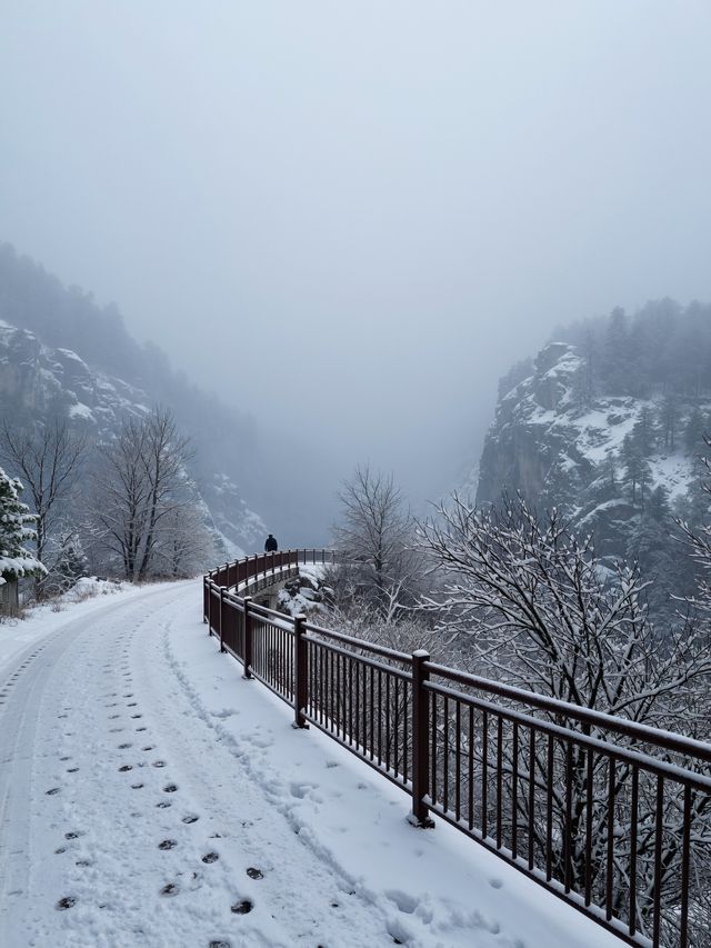 今天的一場雪 嵩山雪後的嵩山 才是打開最仙境的方式
