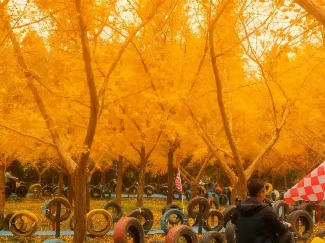 花海盛宴開啟你的春日夢